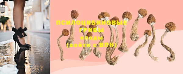 мет Осинники